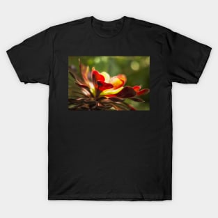 Aeonium Zwartkop T-Shirt